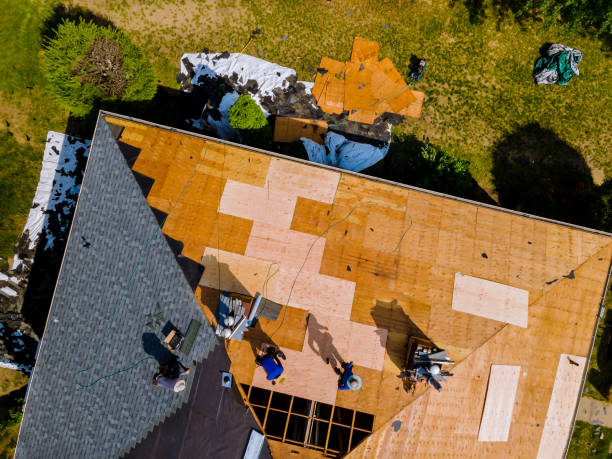 Best Roof Maintenance Services  in Shasta Lake, CA
