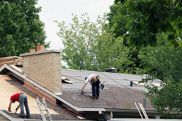 Best Metal Roofing Contractor  in Shasta Lake, CA